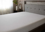 BedGear Dri-Tec Full XL Mattress Protector, White