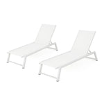 Myers Modern Chaise Lounge Set With Adjustable Back