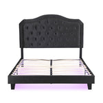 Queen Upholstered Bed Button Tufted with Curve Design