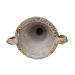 Delphine Urn
