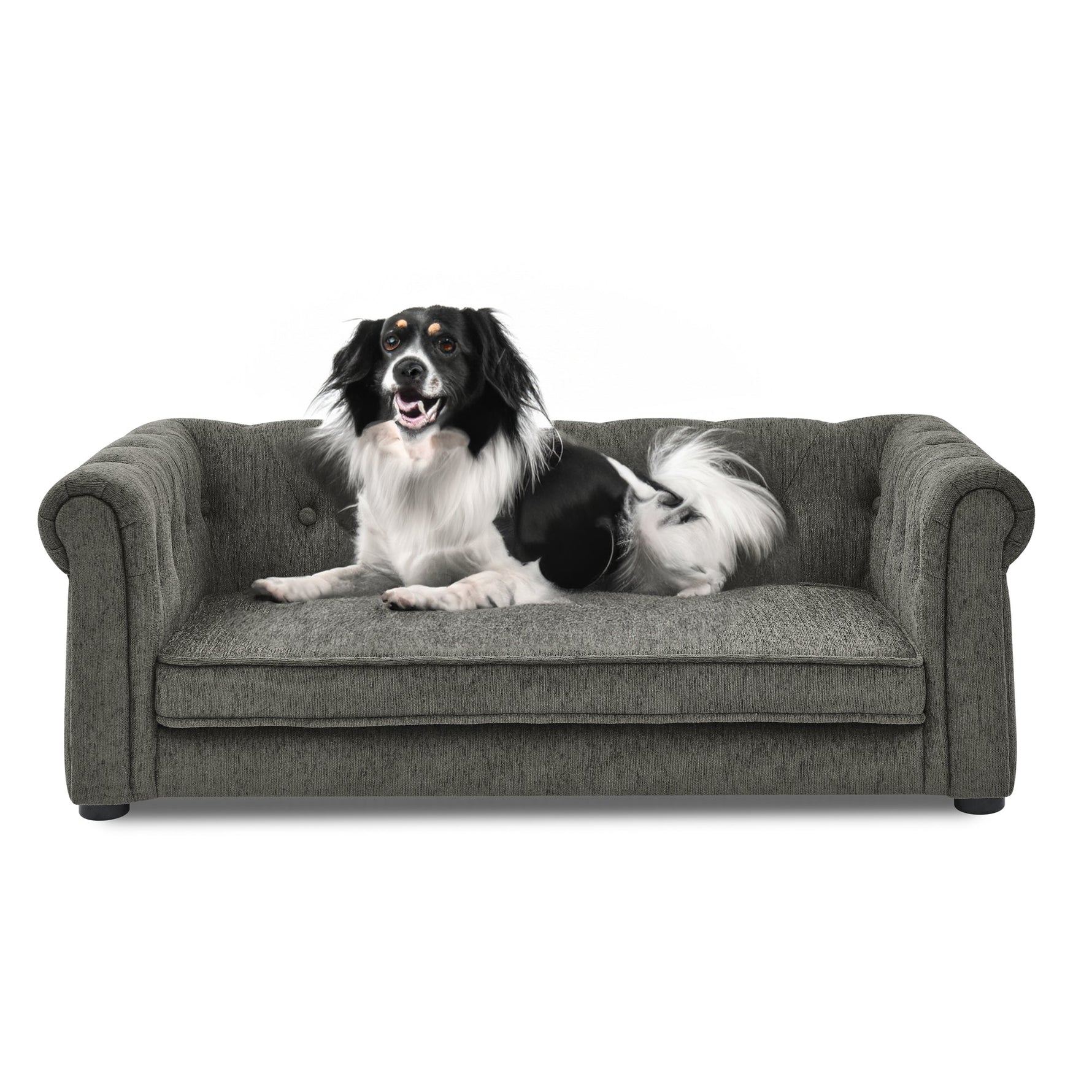 Modern Style Elegant Rectangle Pet Bed for Small and Medium Dogs