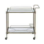 Aditya Mirrored & Antique Brass Finish Serving Cart