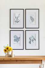 Verdura Botanica: Four-Print Houseplant Pencil Art Set