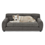 Modern Dark Gray Pet Sofa with Backrest and Armrests