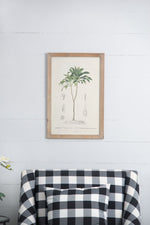 Tree Framed Print Set of 2 - Multicolor Botanical Wall Art