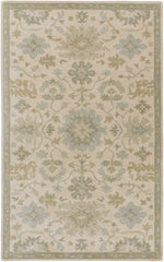 Hazen 1197 Hand Tufted Light Beige Wool Rug