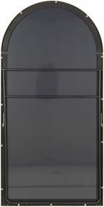 Anipovka Mirror