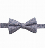 Ryan Seacrest Distinction Men's Bow Tie Atwood Paisley PT Silk Pink One Size