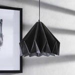 Phlox Ceiling Light - Clearance