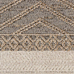Beige Charcoal Areli Outdoor Area Rug