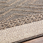 Beige Charcoal Areli Outdoor Area Rug